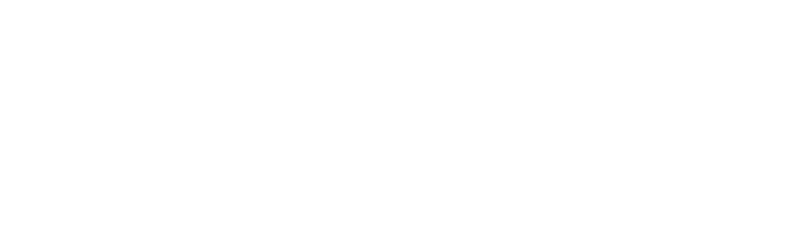 Think Smart International